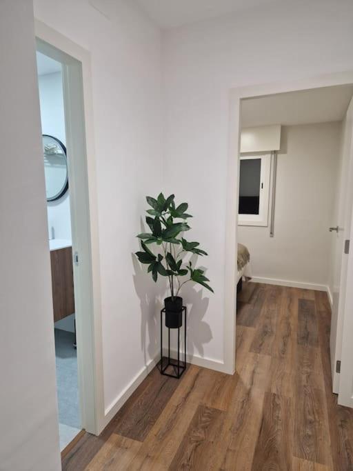 Atico Cork Apartman Vigo Kültér fotó