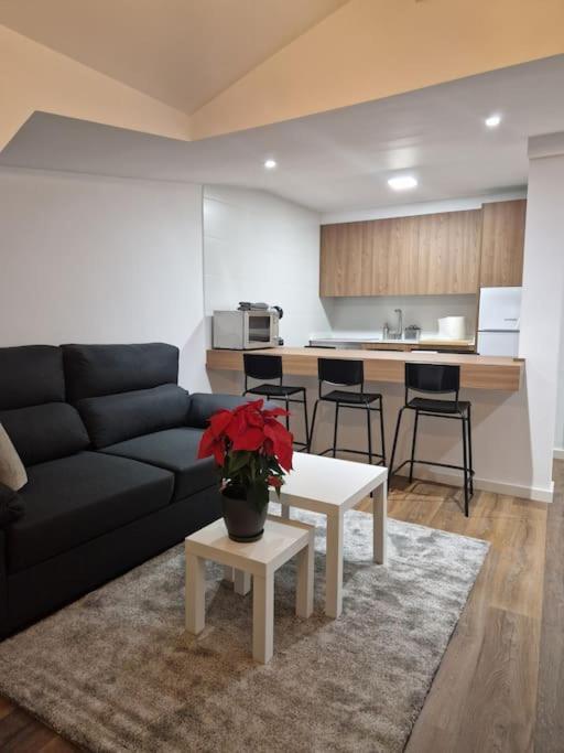 Atico Cork Apartman Vigo Kültér fotó